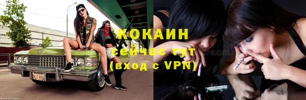 бошки Козельск