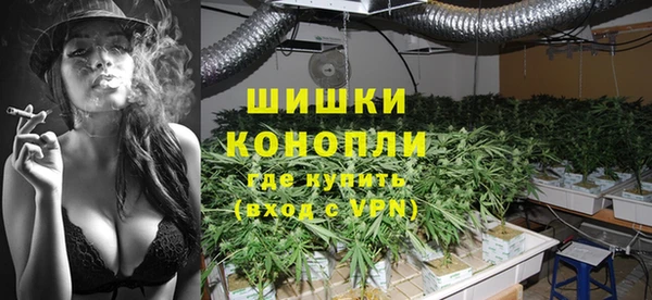бошки Козельск