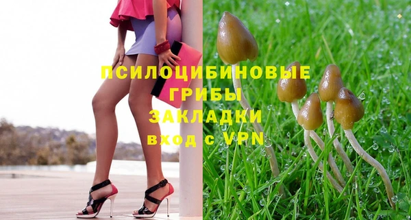 mdpv Кодинск