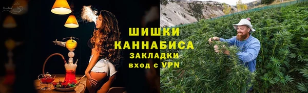 бошки Козельск