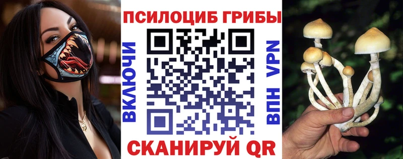 Купить где  Меленки  Псилоцибиновые грибы мухоморы 