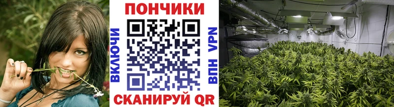 Купить закладки  Меленки  МАРИХУАНА MAZAR 